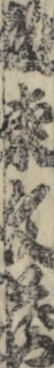 坂東文蔵