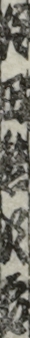住田熊次郎