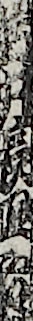 岩井長四郎