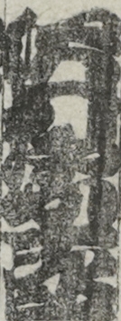 沢村宗十郎