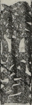 藤川友吉