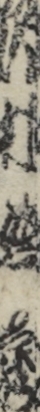 沢村熊蔵