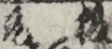 板元 板元