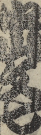 中山文七