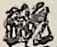 元祖