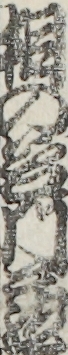 桐の谷門蔵