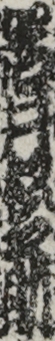 岩井松之助
