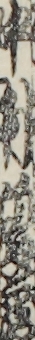 中村鴻蔵