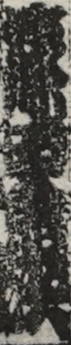 篠田金次