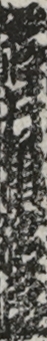 岩井亀治郎