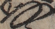 U+306A_ni10-00101_009_ID0396_X1209_Y2727.jpg