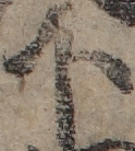 U+4E0B_ni10-00101_003_ID0088_X0982_Y0579.jpg