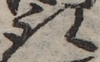 U+53D6_ni10-00101_009_ID0140_X3066_Y1124.jpg