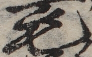 U+6BDB_ni10-00101_101_ID0407_X1358_Y1320.jpg
