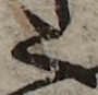 U+3005_i14-00002-842_008_ID0062_X3837_Y1907.jpg
