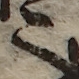 U+3005_i14-00002-842_021_ID0449_X0810_Y0539.jpg