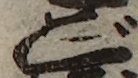 U+3054_i14-00002-842_009_ID0010_X4046_Y1205.jpg