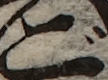 U+3054_i14-00002-842_025_ID0007_X4008_Y0646.jpg