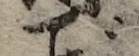 U+3054_i14-00002-842_031_ID0230_X2561_Y1539.jpg