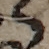 U+3089_i14-00002-842_003_ID0363_X1056_Y2309.jpg