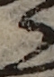 U+3089_i14-00002-842_005_ID0046_X3854_Y1145.jpg