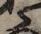 U+3089_i14-00002-842_006_ID0402_X1250_Y2308.jpg