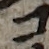U+30B3_i14-00002-842_005_ID0422_X1315_Y2433.jpg