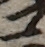 U+30B3_i14-00002-842_006_ID0368_X1560_Y2280.jpg