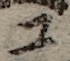 U+30B3_i14-00002-842_007_ID0041_X3870_Y0737.jpg