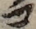 U+30B3_i14-00002-842_047_ID0321_X2107_Y2358.jpg