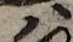 U+30CF_i14-00002-842_006_ID0245_X2278_Y1021.jpg