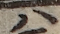 U+30CF_i14-00002-842_009_ID0422_X1347_Y0532.jpg