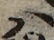 U+30CF_i14-00002-842_068_ID0140_X3045_Y1019.jpg