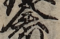 U+5009_i14-00002-842_005_ID0304_X1956_Y2311.jpg