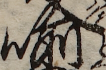U+55A9_i14-00002-842_020_ID0385_X1243_Y0706.jpg