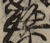 U+5EAD_i14-00002-842_014_ID0263_X2579_Y2428.jpg