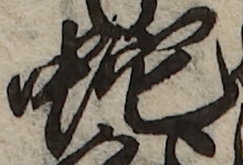 U+86C7_i14-00002-842_070_ID0316_X1778_Y0840.jpg