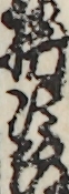 勝次郎
