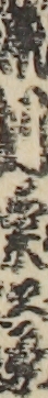 瀬川菊之丞