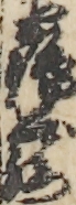 靏蔵 靏蔵