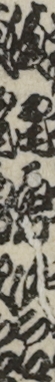 浅尾勇次郎