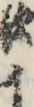 歌十