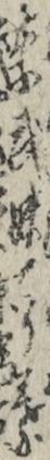 季武妹てり葉