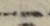 一