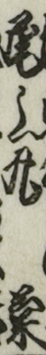 尾上丸菊