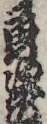 勇次郎