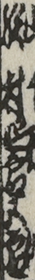 沢村四郎五郎 沢村四郎五郎