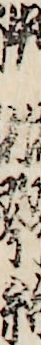 中村琴糸